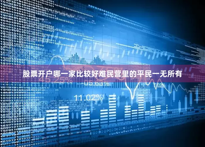 股票开户哪一家比较好难民营里的平民一无所有
