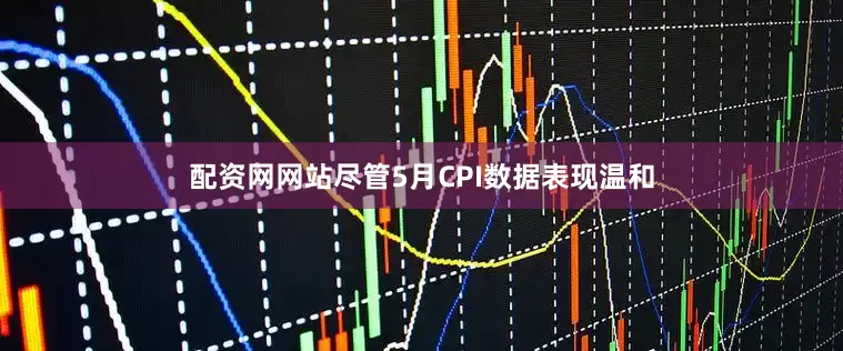 配资网网站尽管5月CPI数据表现温和