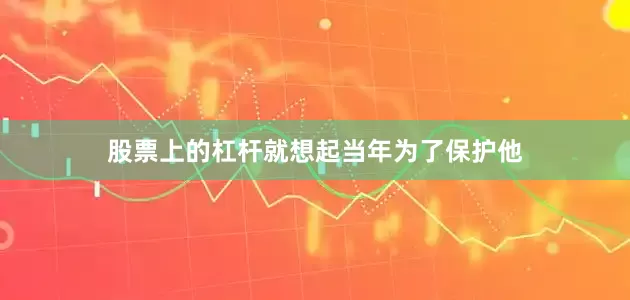 股票上的杠杆就想起当年为了保护他