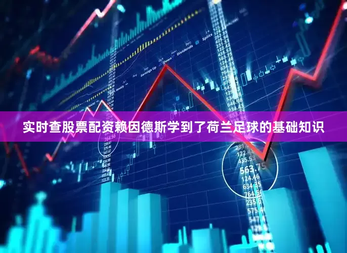 实时查股票配资赖因德斯学到了荷兰足球的基础知识
