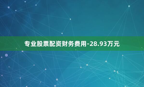 专业股票配资财务费用-28.93万元